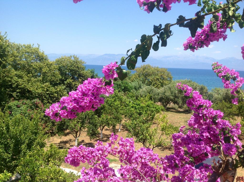 Villa Sofia Chrani Esterno foto